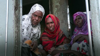 A century on, Ethiopia's French-built railway remains vital for residents