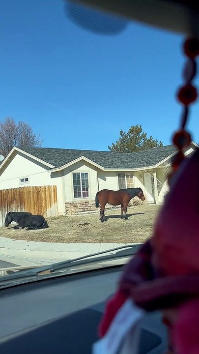 Neigh-borhood Watch