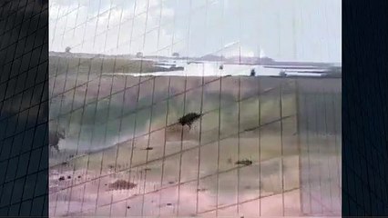 Lion Attaking Documentary HD   Animal Attacks And Loves   YouTube when animals attack