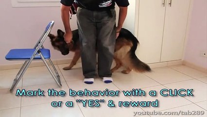 How To Clicker Train Heel Position (Dog Training)