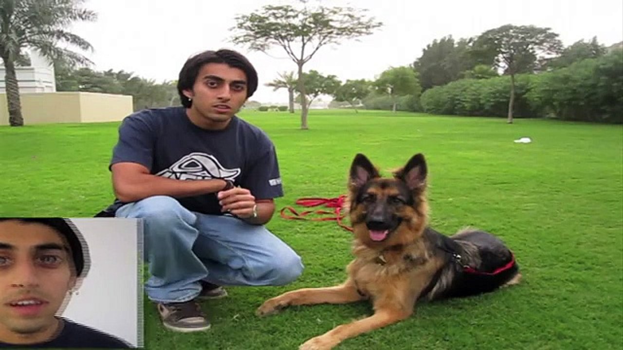 How to teach ANY dog to Come when called!