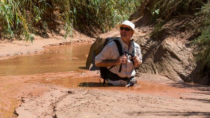 What Happens If You Fall Into Quicksand?