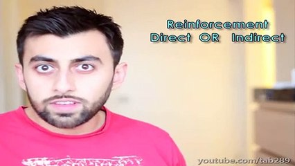 Dog Behavior Problems & What You Can Do!