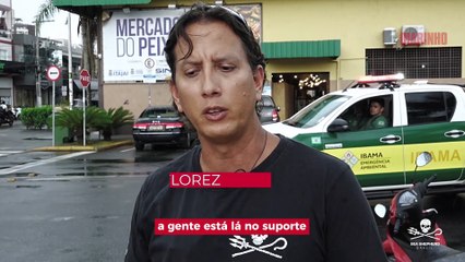 Barco que pescava tubarões é apreendido em Itajaí