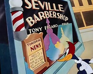 Woody Woodpecker Woody Woodpecker E010 – The Barber of Seville