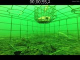 This is what happens on the ocean floor for 3 minutes - Gopro camera on the ocean floor