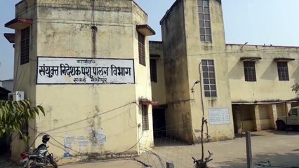 जिले के पशु चिकित्सालय के फिरेंगे दिन, इतने जर्जर भवनों की होगी मरम्मत