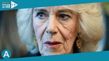 Camilla Parker Bowles : Sa Saint-Valentin avec le roi Charles III tombe à l'eau !