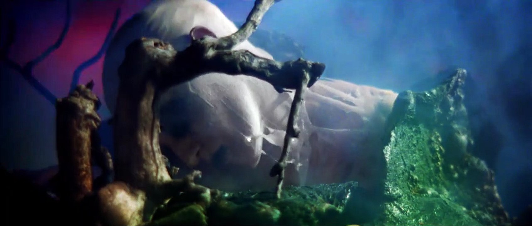 Moon Garden Trailer OV