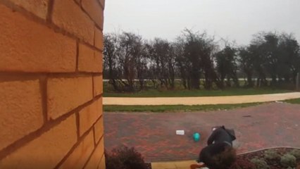 Man trying to defrost car with water gets DESTROYED by icy ground *Funny Winter Fall*