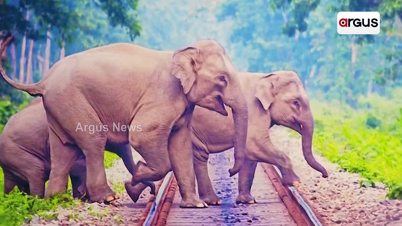 2-Day Photography Exhibition On Nature And Wildlife In Siliguri