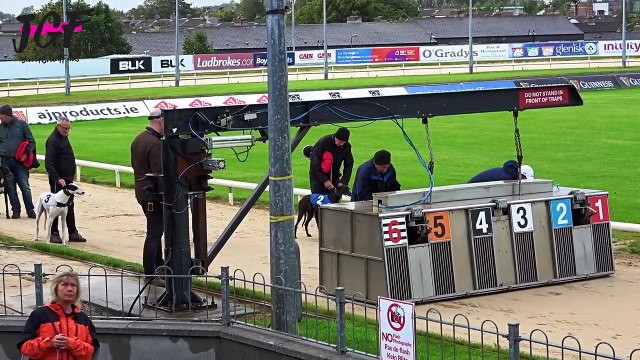 Worlds Best Dogs Racing , Irish Dogs Racing || Dogs Day
