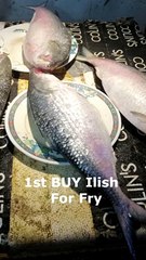 মাওয়া ঘাটের ইলিশ ভাজা এবং মজাদার লেজ ভর্তা  #food #mawa #Elish #reels #shorts #foodie #trandng