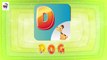 ABC Flashcards for Toddlers | Babies First Words & ABCD Alphabets Learn Letter D-@RHEntertainments ​