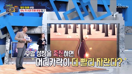 모발은 튼튼하게 모낭은 건강하게! ɛ아누카 사과ɜ TV CHOSUN 230214 방송