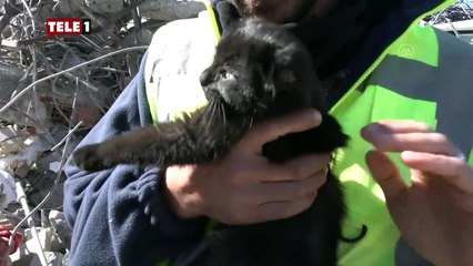 178 saat sonra enkazdan çıkardıkları yavru kediye “Umut” ismini verdiler