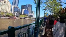 WALKING AT YARRA RIVER BANK ON A BEAUTIFUL SUNNY DAY _  MELBOURNE _ AUSTRALIA