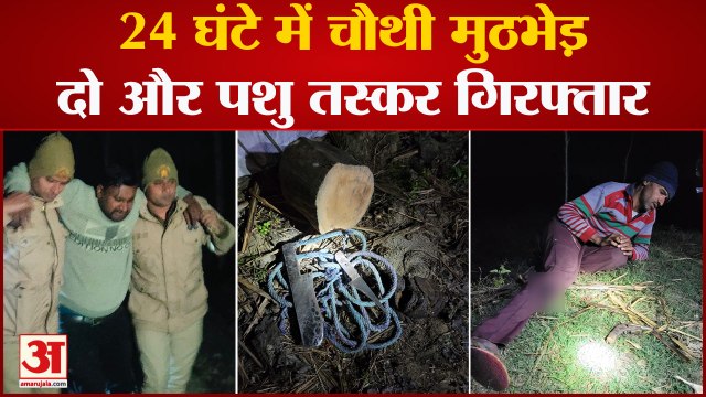 Bareilly News: पशु तस्करों पर पुलिस की कार्रवाई जारी, 24 घंटे में चौथी मुठभेड़, दो और गिरफ्तार