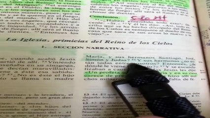 Sobre los "hermanos de Jesús" en San Marcos 6:3 - P. Juan Molina