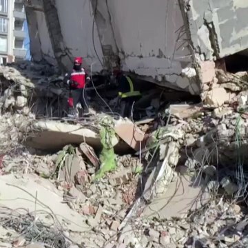 Yıkılan binadan ayrılmayan kedi arama kurtarma çalışmalarını yeniden başlattı