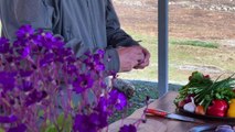 Tender LAMB TESTICLES Kebab on a Сampfire - Faraway Village Family