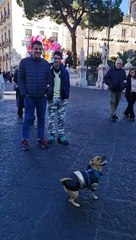 Bumping Around a Balloon