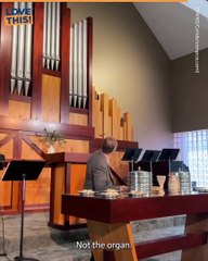 Bat Invasion in Church: Hilarious Reactions Caught on Camera