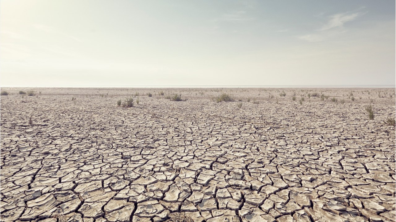 Qu'est-ce que le stress hydrique ?