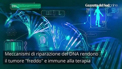 Trovato il punto debole del tumore al colon: "Lo renderà curabile"