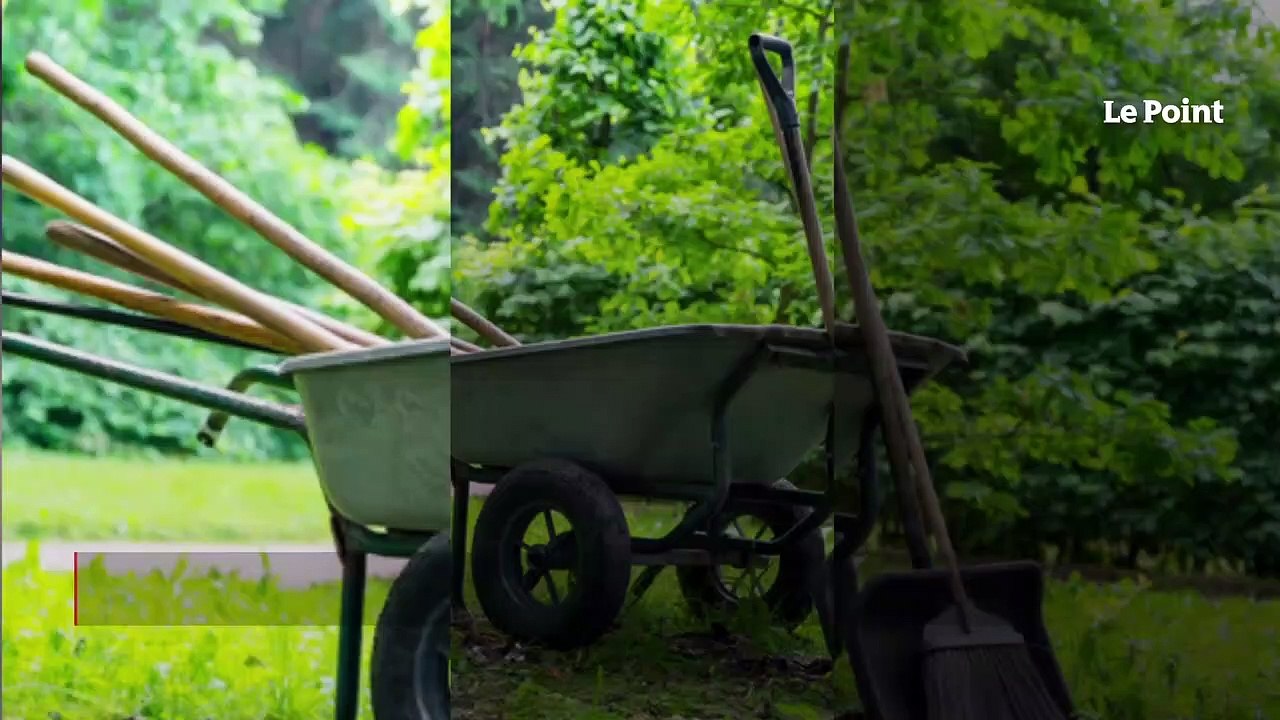 Femme découpée à Paris : d’autres morceaux du corps retrouvés aux Buttes-Chaumont