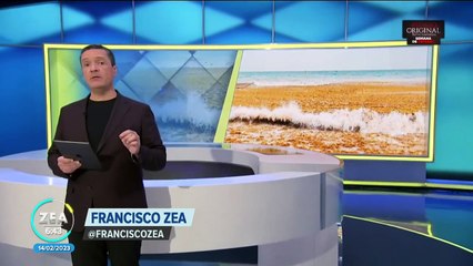 Comienza a llegar el sargazo a las playas de Quintana Roo
