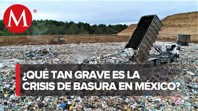 Solo 5% de basura se recicla en México, se generan 350 millones de toneladas al año