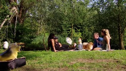 The Only Way Is Essex - Se21 - Ep04 HD Watch