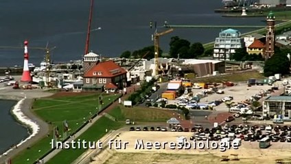 Amundsen der Pinguin (2003) Filme Deustche HD