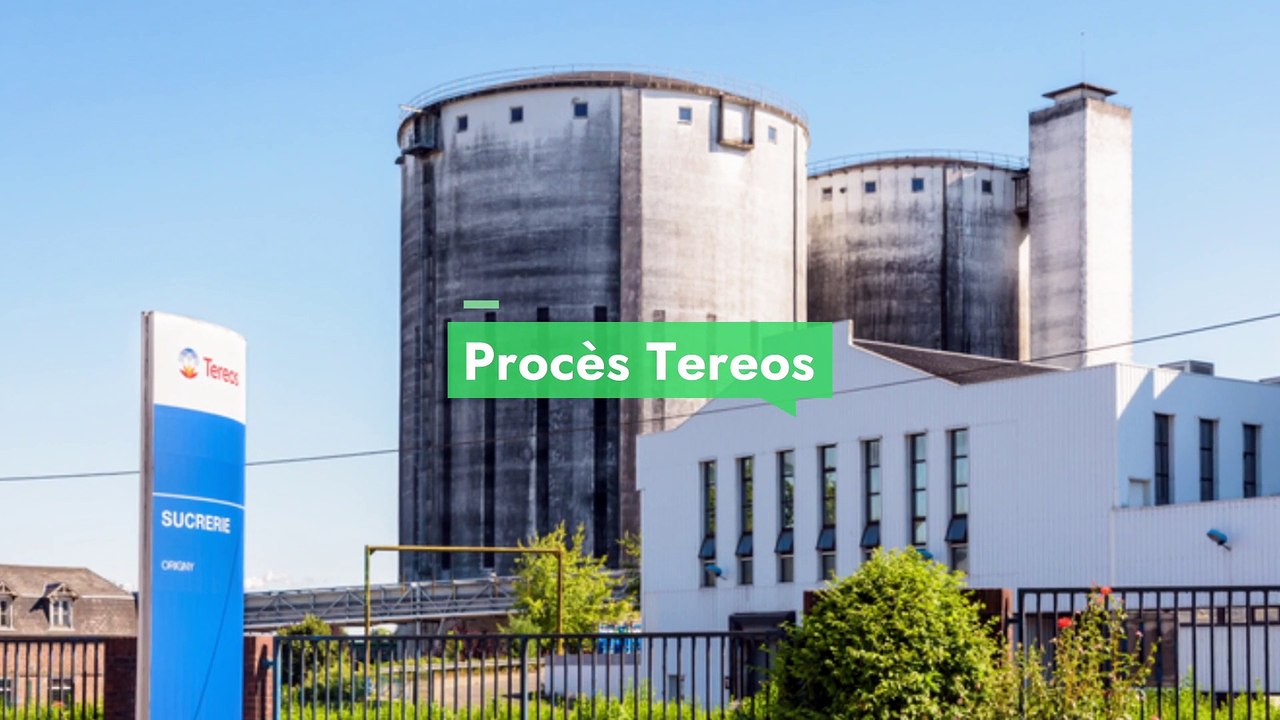 Réparation des préjudices écologiques : une voie pour redonner ses droits à la nature