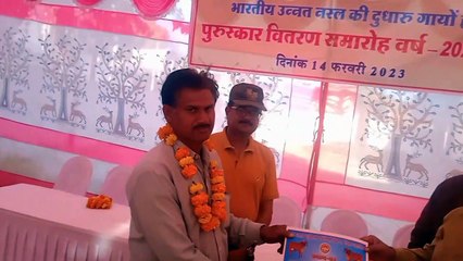 Sohagpur's cow became first by producing 10.963 liters of milk in a day