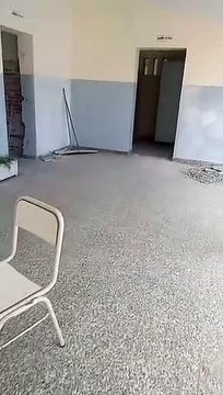 Escuela n° 491 Naciones Unidas - Denuncia I