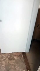 Escuela n° 491 "Naciones Unidas" - Denuncia II