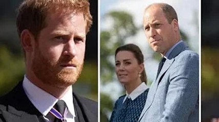 William è rimasto "sbalordito" dopo che Harry "ha trascinato Kate in una lite dannosa"