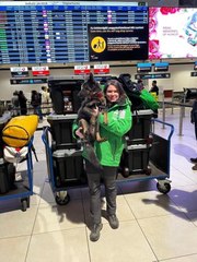 Macaristan Hükümet Sözcüsü Kovacs'ın kızı Türkiye'deki arama-kurtarma çalışmalarına katıldı