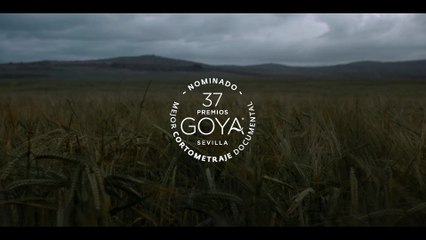 Trazos del alma - Tráiler