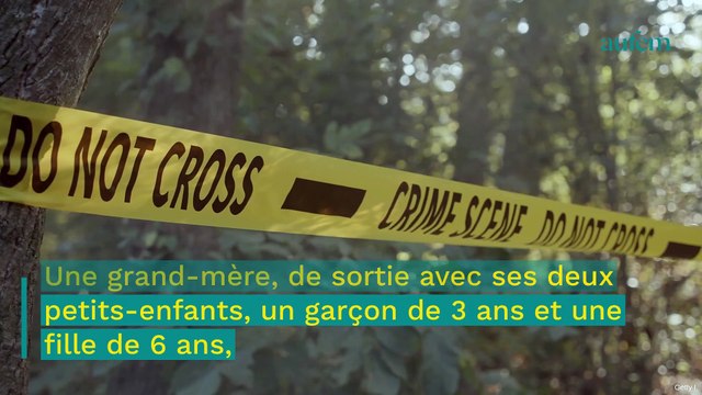 Une grand mère meurt en tentant de sauver son petit-fils d'un affreux accident de luge