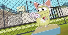 Pound Puppies 2010 Pound Puppies 2010 S01 E024 Kennel Kittens Return