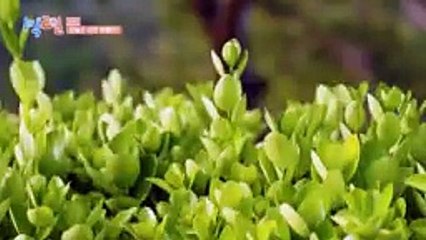 1 Night 2 Days S04 - Se01 - Ep77 Watch HD