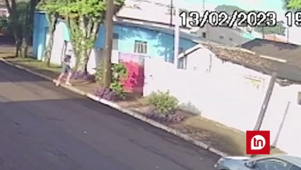 Homem é preso após maltratar filhote e ameaçar vizinho no PR; veja