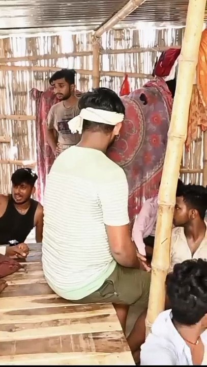 मार_झापर्_के_पापड़े_हगा_देम्_||_mani_meraj_shorts||_@ManiMerajVines_#shorts_#youtubeshorts(480p)