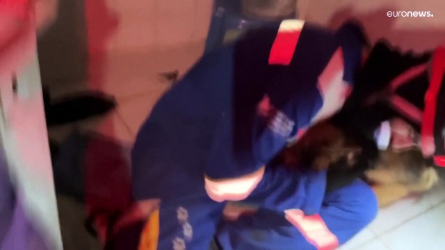 شاهد: متطوعون ينقذون حيوانات أليفة من آثار الزلزال في أنطاكيا