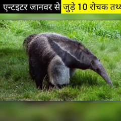 एन्टइटर जानवर से जुड़े 10 रोचक तथ्य