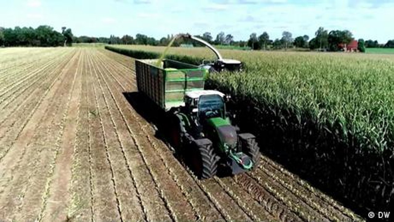 Proteste gegen Biosprit - wichtiger als Brot?