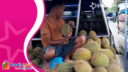Mencicipi Lezatnya Durian Kalimantan, Rp50 Ribu Dapat 3 Buah